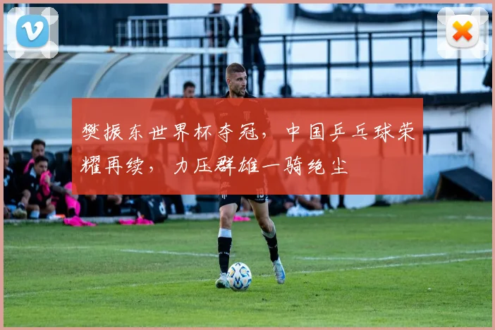 樊振东世界杯夺冠，中国乒乓球荣耀再续，力压群雄一骑绝尘